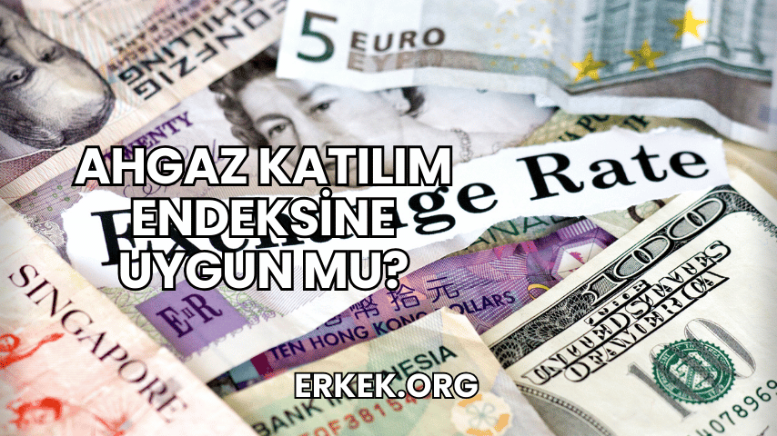 Ahgaz Katılım Endeksine Uygun mu?