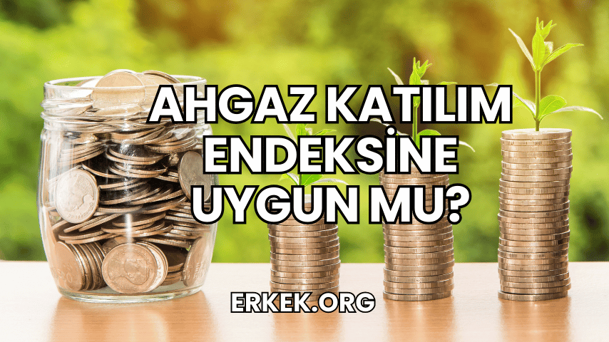 Ahgaz Katılım Endeksine Uygun mu?