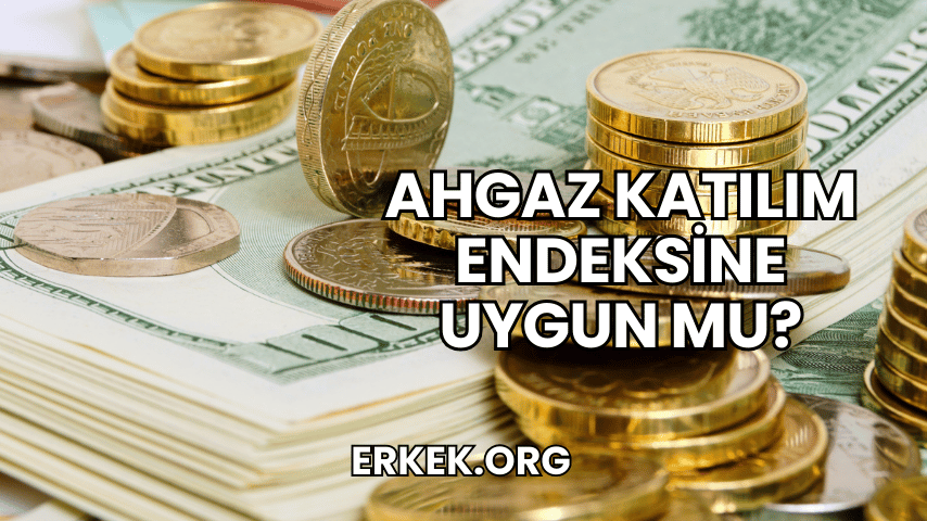 Ahgaz Katılım Endeksine Uygun mu?