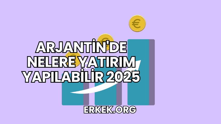Arjantin'de Nelere Yatırım Yapılabilir 2025