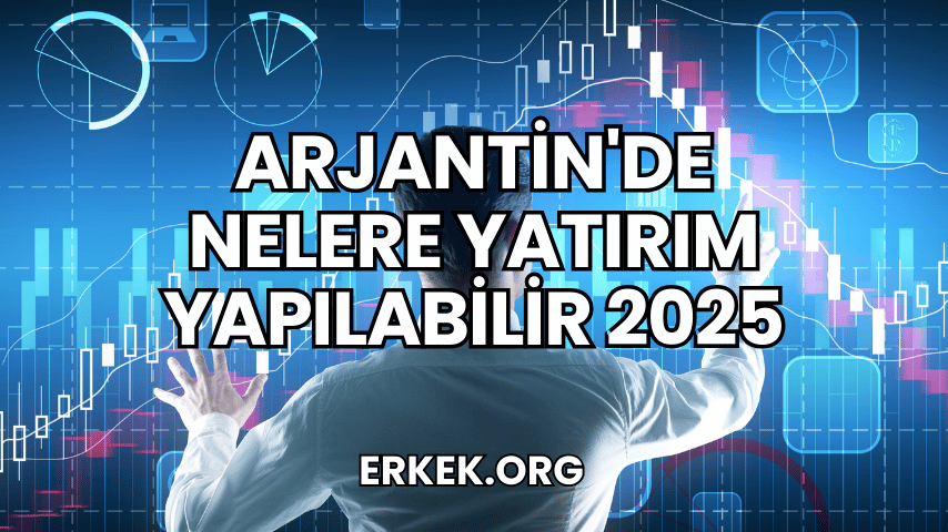 Arjantin'de Nelere Yatırım Yapılabilir 2025
