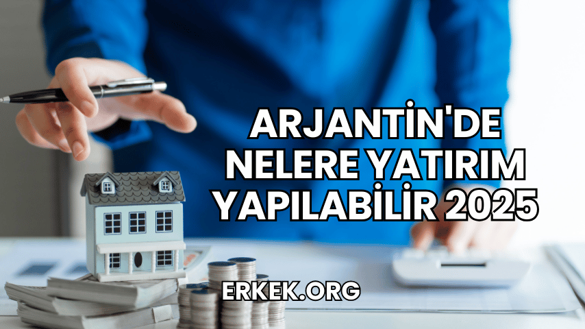 Arjantin'de Nelere Yatırım Yapılabilir 2025