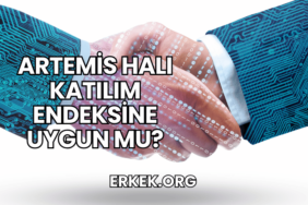 Artemis Halı Katılım Endeksine Uygun mu?