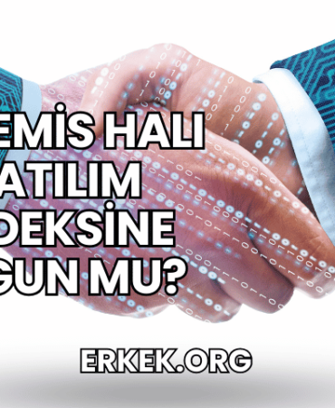 Artemis Halı Katılım Endeksine Uygun mu?