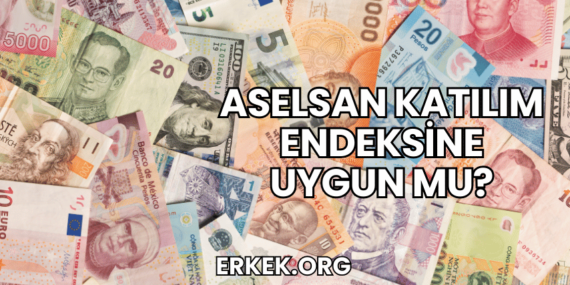 Aselsan Katılım Endeksine Uygun mu?