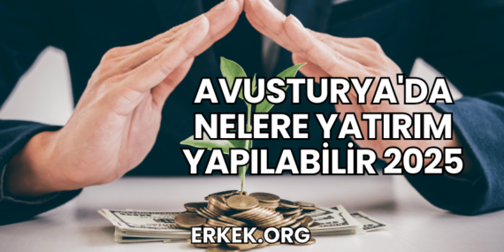 Avusturya’da Nelere Yatırım Yapılabilir 2025