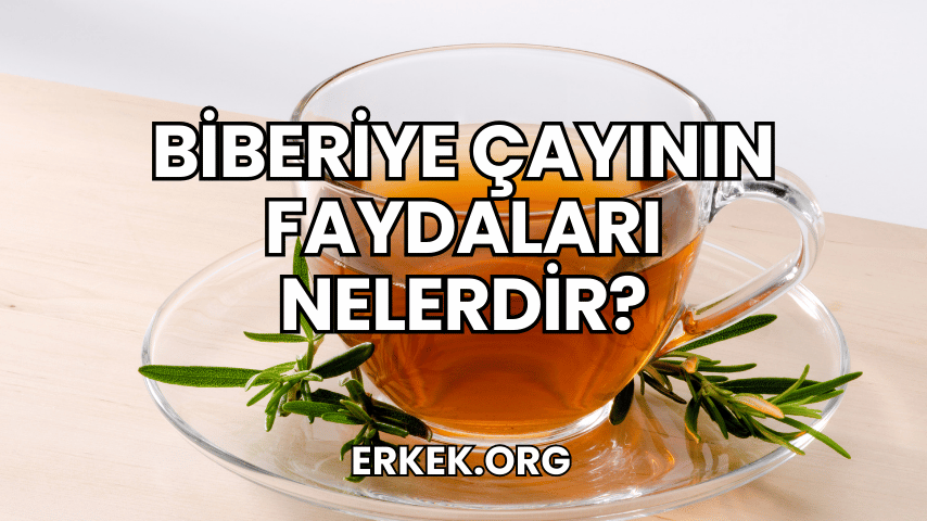 Biberiye Çayının Faydaları Nelerdir?