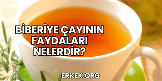 Biberiye Çayının Faydaları Nelerdir?