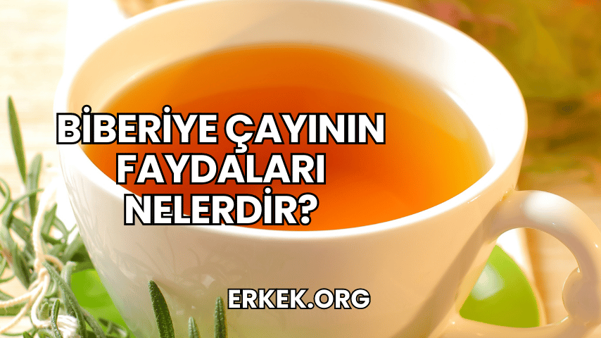Biberiye Çayının Faydaları Nelerdir?