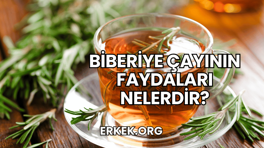 Biberiye Çayının Faydaları Nelerdir?