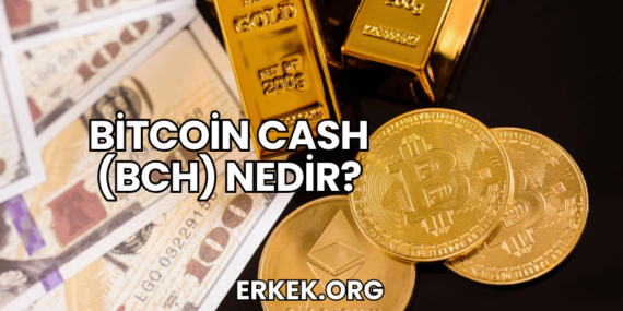Bitcoin Cash (BCH) Nedir?