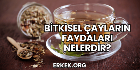 Bitkisel Çayların Faydaları Nelerdir?