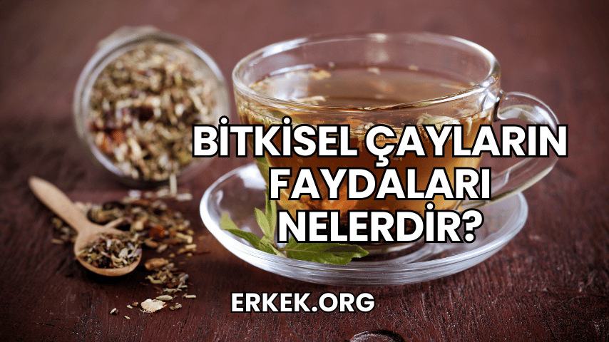 Bitkisel Çayların Faydaları Nelerdir?