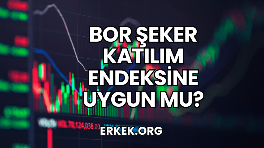 Bor Şeker Katılım Endeksine Uygun mu?