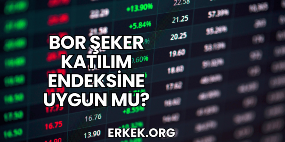 Bor Şeker Katılım Endeksine Uygun mu?