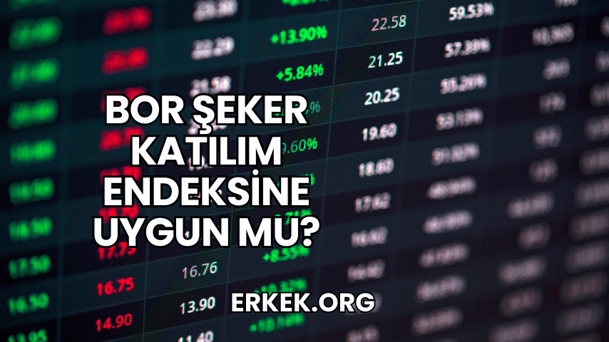 Bor Şeker Katılım Endeksine Uygun mu?