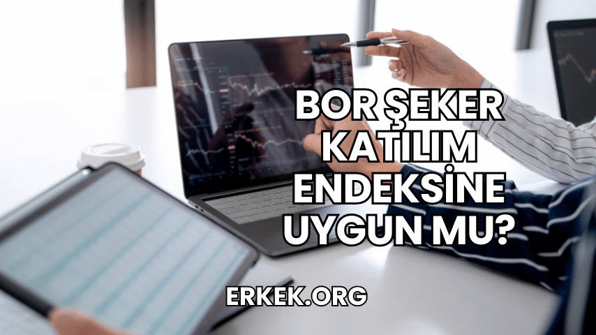 Bor Şeker Katılım Endeksine Uygun mu?