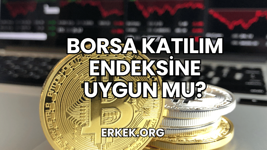 Borsa Katılım Endeksine Uygun mu?
