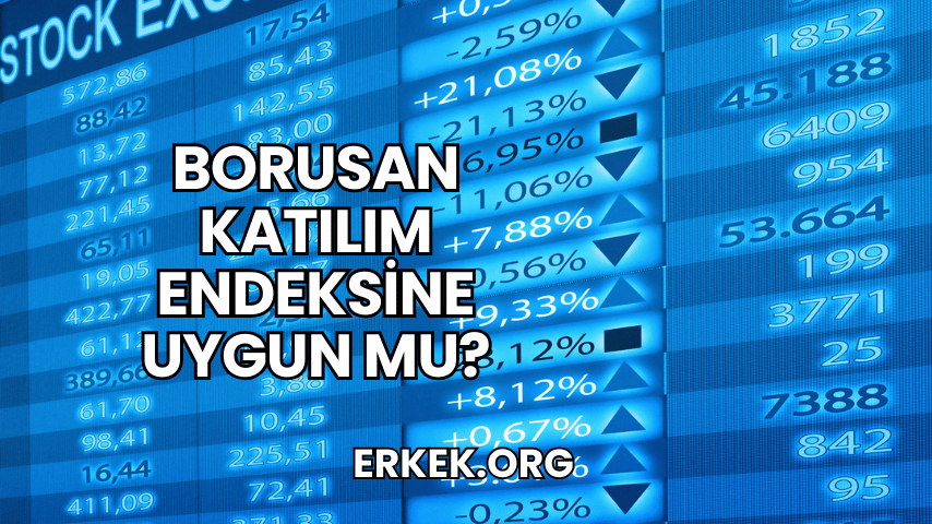 Borusan Katılım Endeksine Uygun mu?