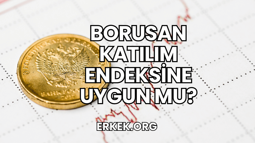 Borusan Katılım Endeksine Uygun mu?