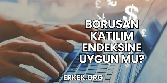 Borusan Katılım Endeksine Uygun mu?