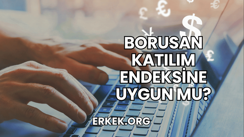 Borusan Katılım Endeksine Uygun mu?