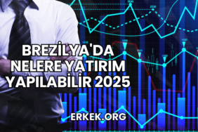 Brezilya'da Nelere Yatırım Yapılabilir 2025