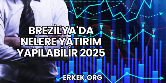 Brezilya’da Nelere Yatırım Yapılabilir 2025
