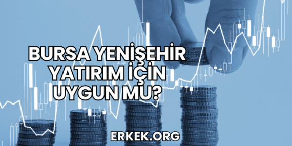 Bursa Yenişehir Yatırım İçin Uygun mu?