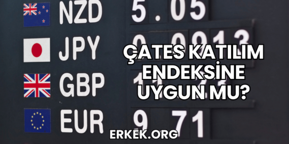 ÇATES Katılım Endeksine Uygun mu?
