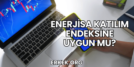 Enerjisa Katılım Endeksine Uygun mu?