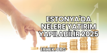 Estonya'da Nelere Yatırım Yapılabilir 2025