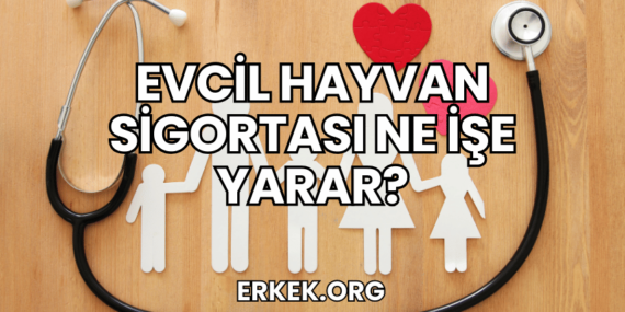 Evcil Hayvan Sigortası Ne İşe Yarar?