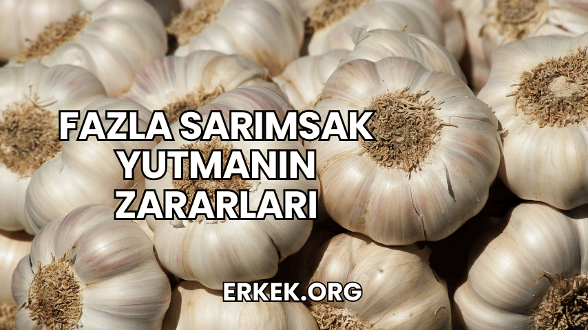 Fazla Sarımsak Yutmanın Zararları
