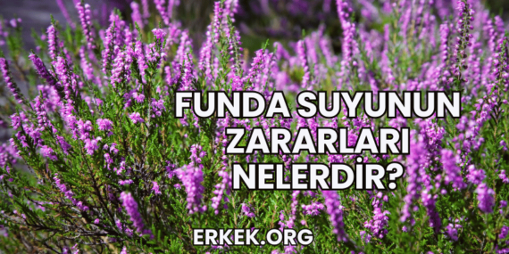Funda Suyunun Zararları Nelerdir?