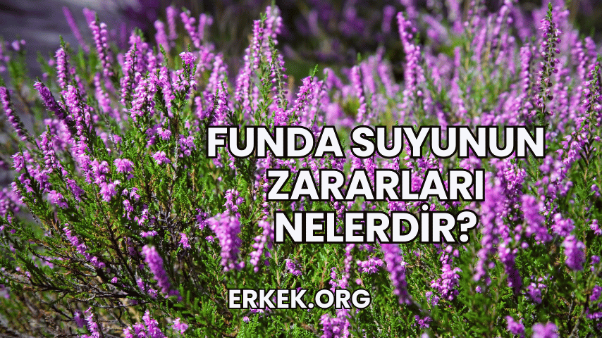 Funda Suyunun Zararları Nelerdir?