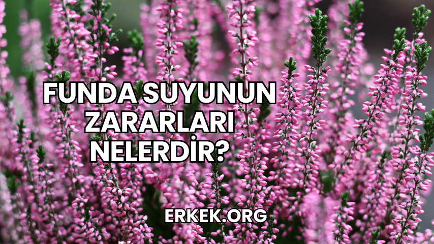 Funda Suyunun Zararları Nelerdir?