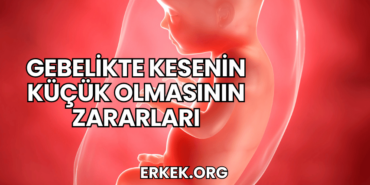 Gebelikte Kesenin Küçük Olmasının Zararları
