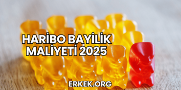 Haribo Bayilik Maliyeti 2025