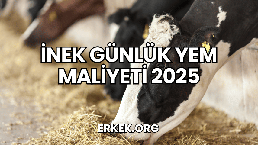 İnek Günlük Yem Maliyeti 2025