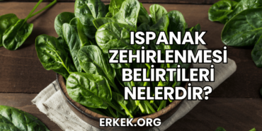 Ispanak Zehirlenmesi Belirtileri Nelerdir?