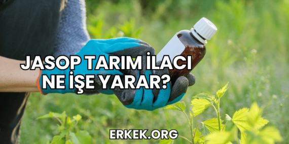Jasop Tarım İlacı Ne İşe Yarar?