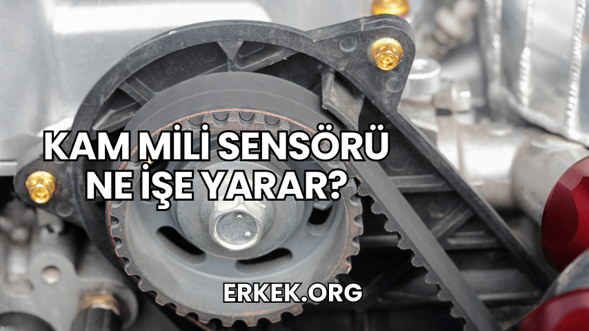 Kam Mili Sensörü Ne İşe Yarar?