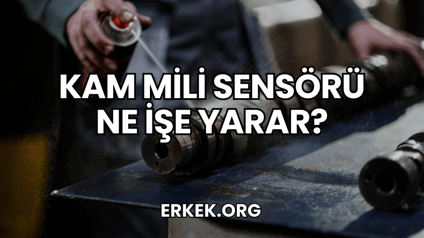 Kam Mili Sensörü Ne İşe Yarar?