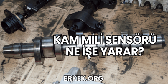 Kam Mili Sensörü Ne İşe Yarar?