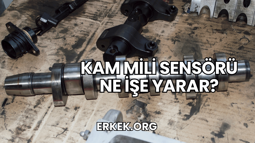 Kam Mili Sensörü Ne İşe Yarar?