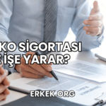 Kasko Sigortası Ne İşe Yarar?