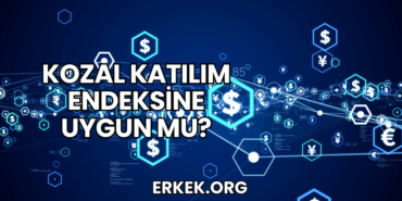 Kozal Katılım Endeksine Uygun mu?
