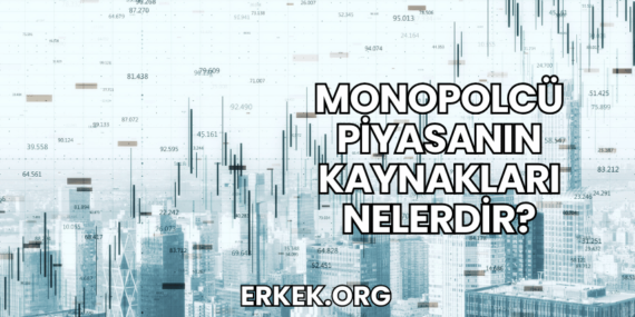 Monopolcü Piyasanın Kaynakları Nelerdir?