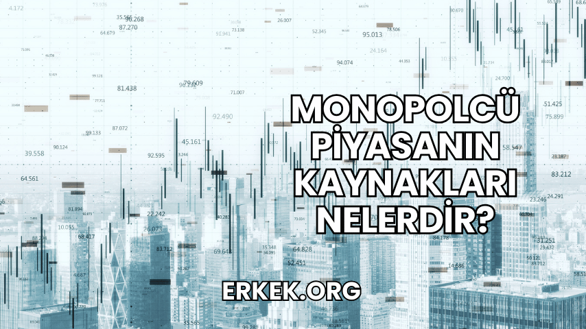Monopolcü Piyasanın Kaynakları Nelerdir?
